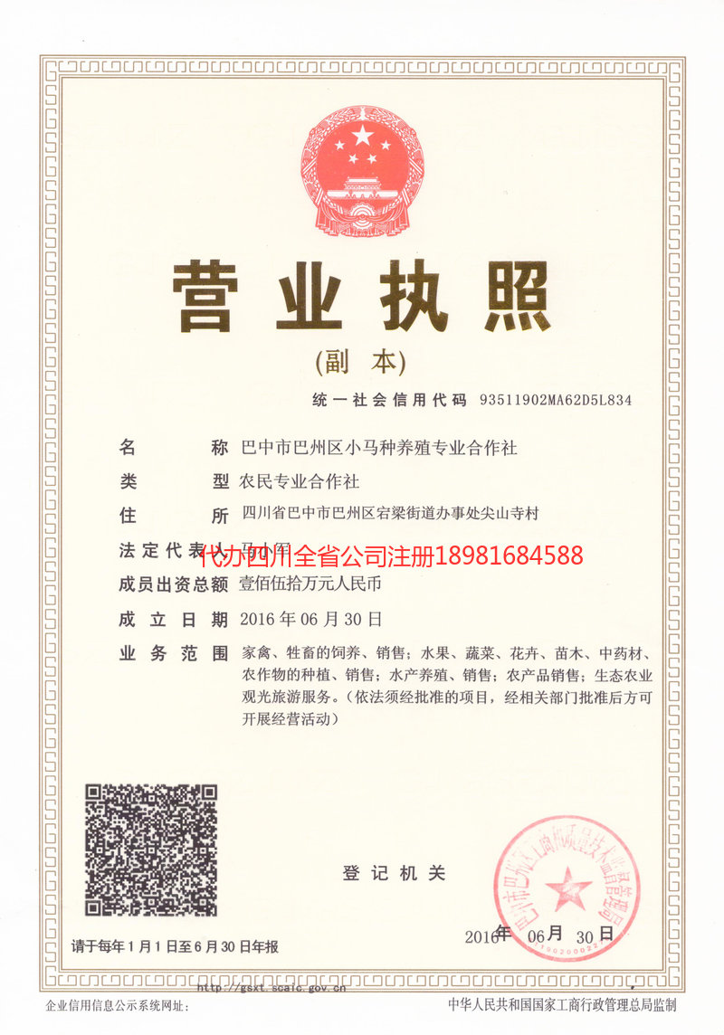 同江同江小马种养殖专业合作社